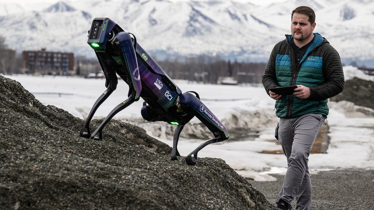 Robotický pes bude na aljašském letišti rozhánět ptáky. Převlečou ho za kojota nebo lišku
